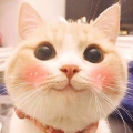 �ҵ����