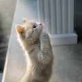 �ҵ����