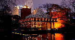 xinsimple_38010415102160977246.jpg