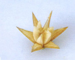 �㽶��