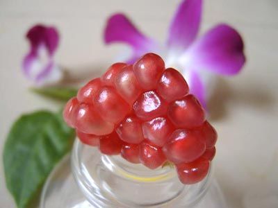 �Ŷ����׵�ʳ��