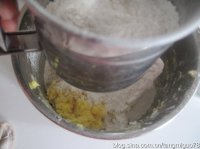 �ɿ���������