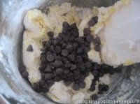 �ɿ���������