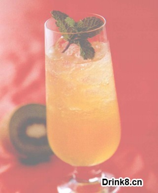 ⨺���ɳ�߼�β�� Kiwi Sour Cocktail