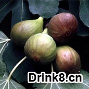 20120322162002401554576.jpg