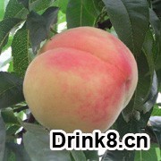 20130924175708470503506.jpg