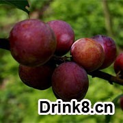 20120322150505548757461.jpg