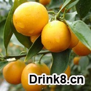 20130924181239266898946.jpg