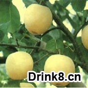 20120322151547698995277.jpg