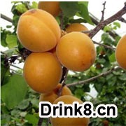 2012032215085111627515.jpg