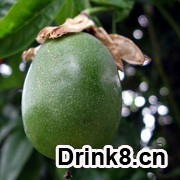 20130924182423891229829.jpg