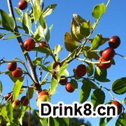 20130924183651334427710.jpg