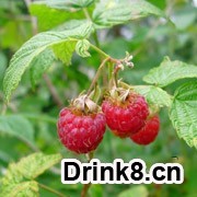 20130924181435728855345.jpg