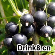 20130924180959488521428.jpg