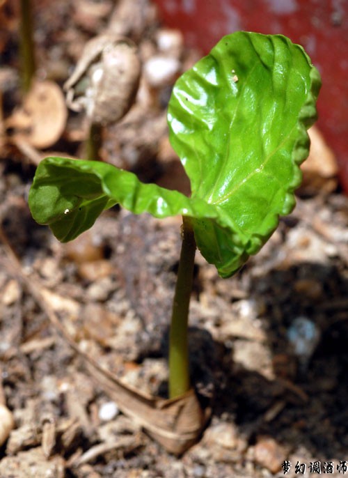 20102415457692.jpg
