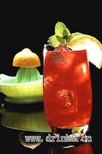 �¼���˾����� Singapore Sling Cocktail