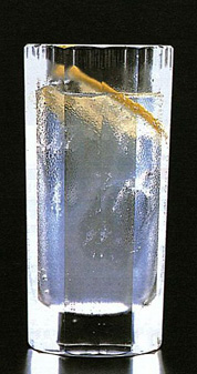 ���ʿ Gin Fizz