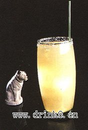�̹� Salty Dog (��)