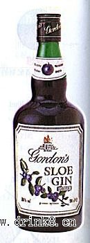 Ұݮ��� Sloe Gin