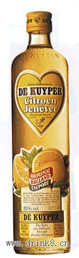 �������ھ� Citroen Jenever