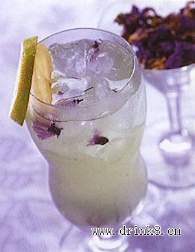 ������â��¶ Mango Sorbet Violet