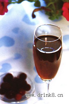 ��÷�� Syrup of Plum