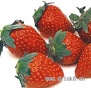 ��ݮ Strawberry