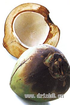 Ҭ�� Coconut Palm