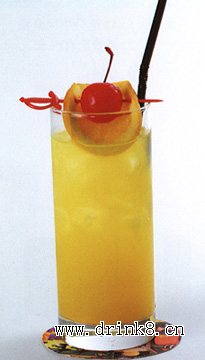 �����մ�(��) Orange Squash
