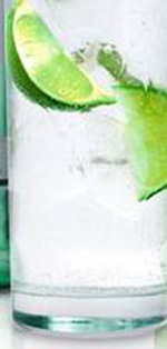 Ī���� MOJITO