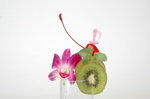 �uβ�Ʊ��