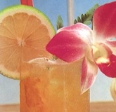 �����۲� Honey Jasmine Tea