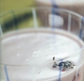 ɣ������� Mulberry Yoghourt Juice