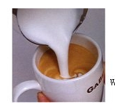 �Ļ��������� Flower Latte Art Coffee