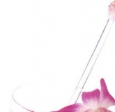 ӵ�������ɳ Purple Rum