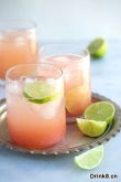 ���������꼦β�� The perfect paloma cocktail