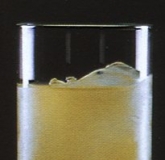 Ī��˹�⼦β�� Mauresque Cocktail