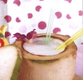 Ҭ��С�� Miss Coconut