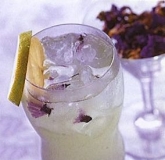 ������â��¶ Mango Sorbet Violet