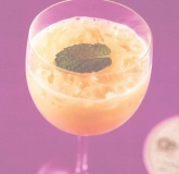 ��ɫ�λü�β�� Golden Dream Cocktail Ůʿ���β��ϵ��