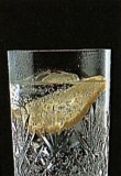 �Ͽ���˼�β�� Tequonic Cocktail