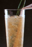 Ұ��÷��������β�� Sloe Tequila Cocktail