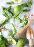 Ҭ��Ī���� Coconut Mojito