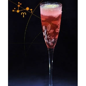 ��������β�� Aries Cocktail