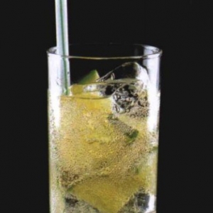 �����мӿ��� Saratoga Cooler
