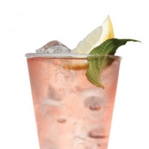 �ۺ�������� Pink Margarita