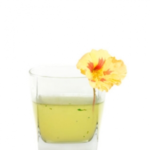��ɫ���۷� Green Bee