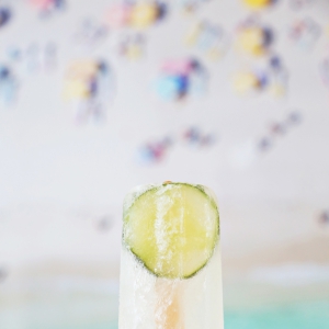 ���������� Gin Tonic Popsicles